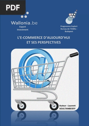 L’e-commerce d’aujourd’hui et ses perspectives