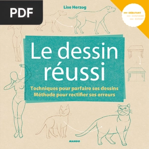 Le Dessin Réussi