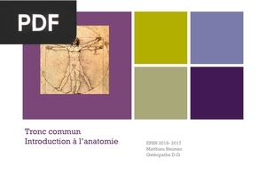 Tronc commun. Introduction à l’anatomie