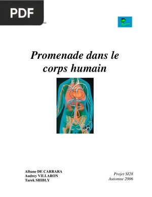 Promenade dans le corps humain