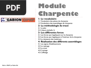 Module Charpente