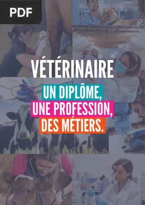 Vétérinaire. Un diplome, une profession, des métiers
