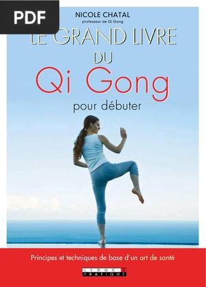 Le Grand Livre du Qi Gong
