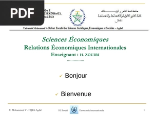 Relations Économiques Internationales