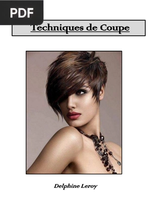 Techniques de Coupe