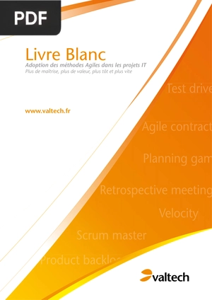 Adoption des Méthodes Agiles dans les Projets It