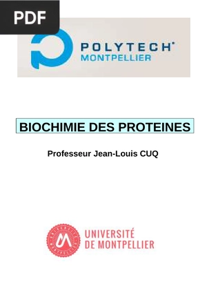 Biochimie Des Proteines