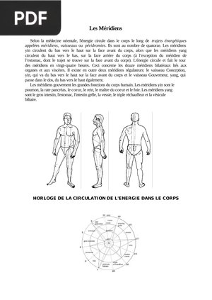 (Ebook) - Massage Shiatsu Meridien