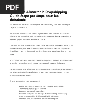 Guide Pour Démarer Le Dropshipping