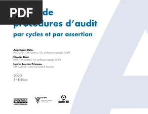 Guide de Procédures D’Audit par Cycles et par Assertion