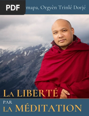 La Liberté par la Méditation