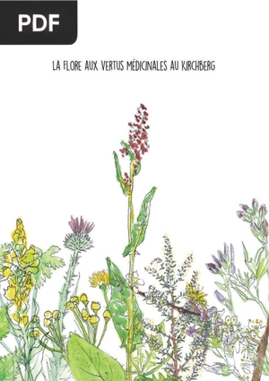 La flore aux vertus médicinales au Kirchberg