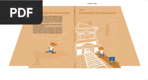 Le Management des Organisations