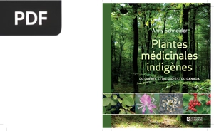 Plantes Médicinales Indigènes Du Québec