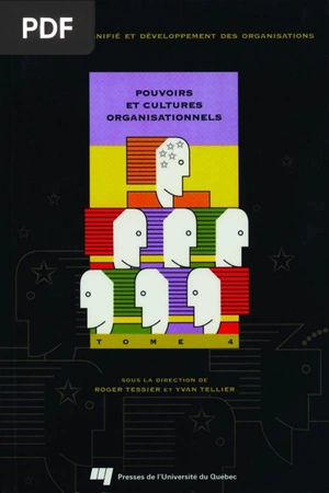 Pouvoirs et Cultures Organisationnels