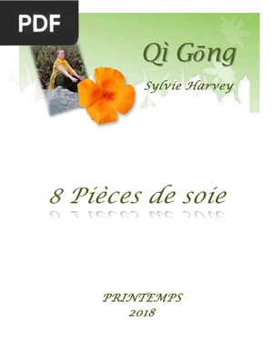 Qì Gōng - 8 Pièces de soie