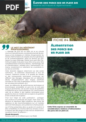 Alimentation des porcs bio en plein air