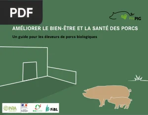 Améliorer le bien-être et la santé des porcs