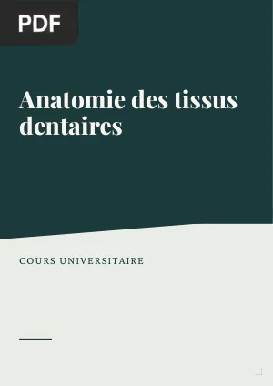 Anatomie des tissus dentaires