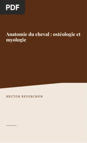 Anatomie du cheval : ostéologie et myologie