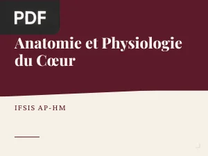 Anatomie et Physiologie du Cœur