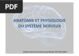 Anatomie et Physiologie du Système Nerveux