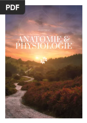 Anatomie et physiologie du yoga