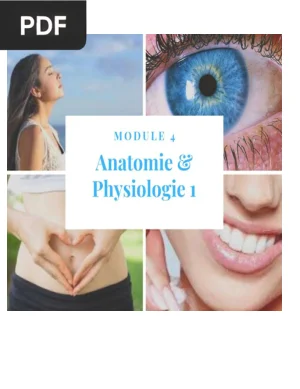 Anatomie et Physiologie selon l'Ayurvéda