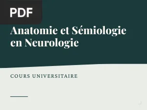 Anatomie et Sémiologie en Neurologie