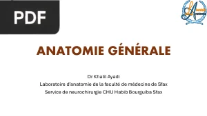 Anatomie Générale
