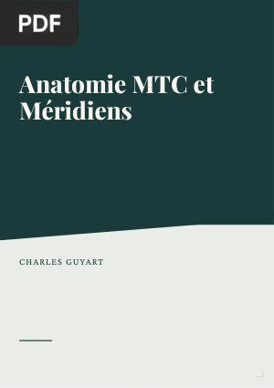 Anatomie MTC et Méridiens