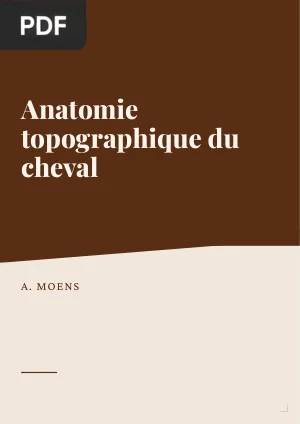 Anatomie topographique du cheval
