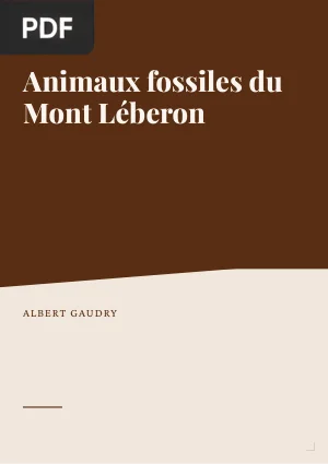 Animaux fossiles du Mont Léberon