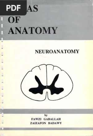 Atlas of Anatomy: Neuroanatomy