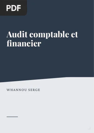 Audit Comptable et Financier
