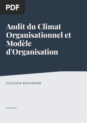 Audit du Climat Organisationnel et Modèle d'Organisation