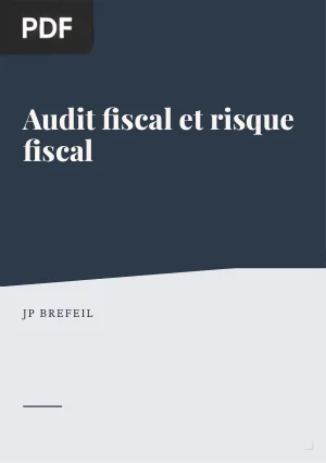 Audit fiscal et risque fiscal