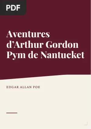 Aventures d’Arthur Gordon Pym de Nantucket