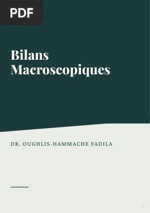 Bilans Macroscopiques