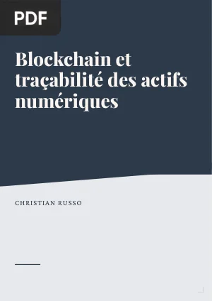 Blockchain et Traçabilité des Actifs Numériques