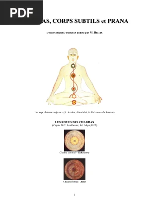Chakras, Corps Subtils et Prana