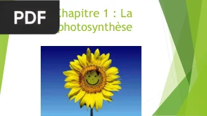 Chapitre 1 : La photosynthèse