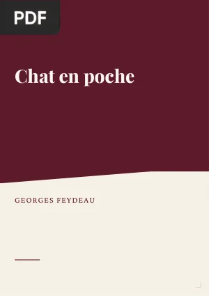 Chat en poche