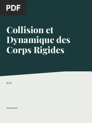 Collision et Dynamique des Corps Rigides