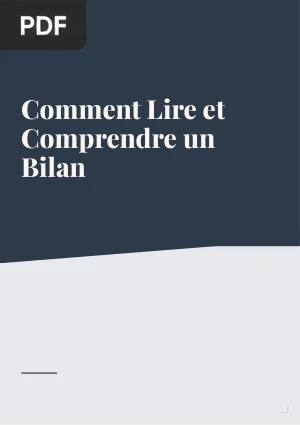Comment Lire et Comprendre un Bilan