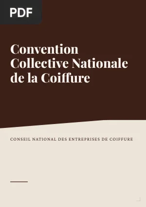 Convention Collective Nationale de la Coiffure et des Professions Connexes