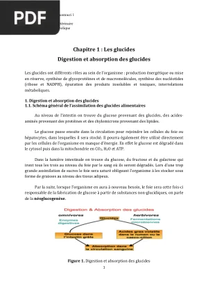 Cours de biochimie métabolique