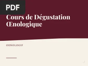 Cours de dégustation oenologique