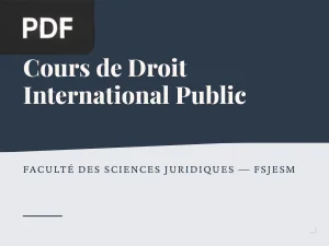 Cours de Droit International Public