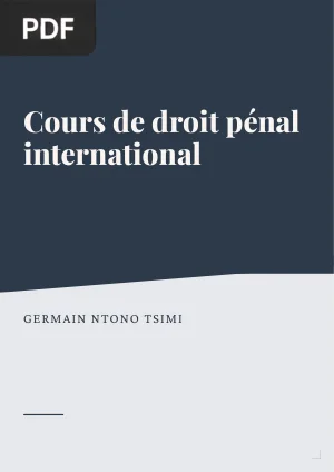 Cours de droit pénal international